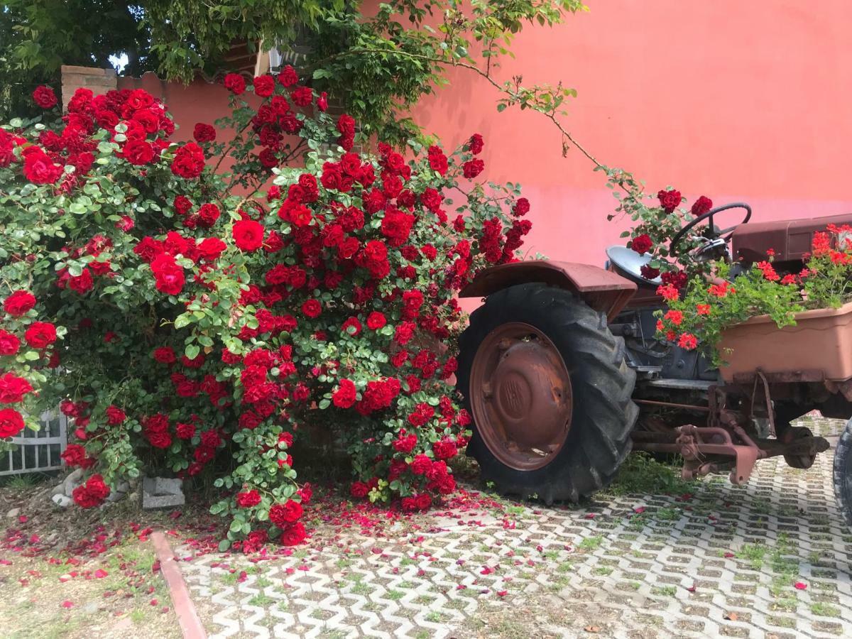Agriturismo Mulino Bianco Lonato Buitenkant foto